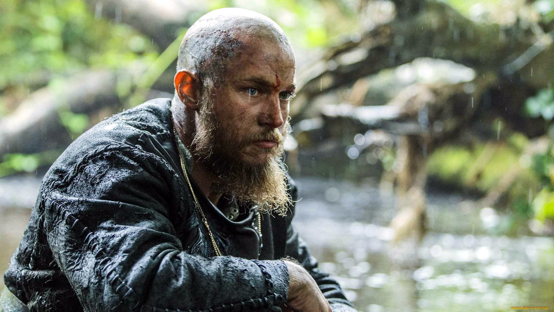  , vikings , 2013,  , travis, fimmel